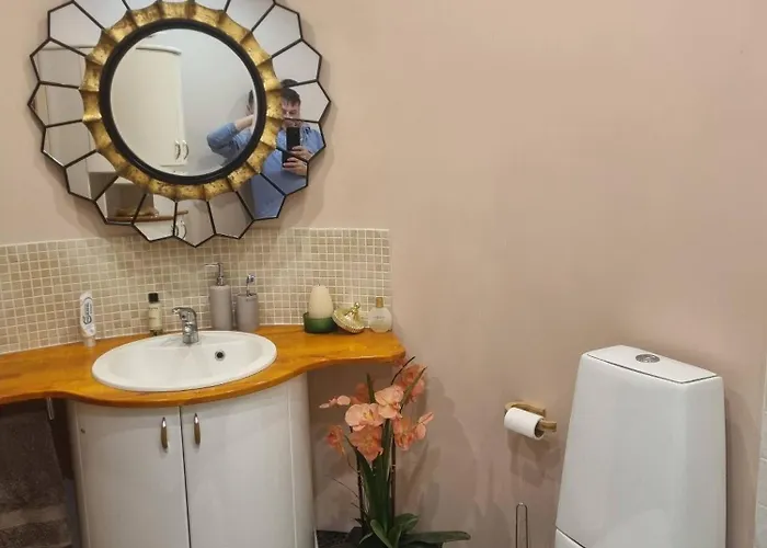 Serene 4-bedroom House In Historic Rga Riga